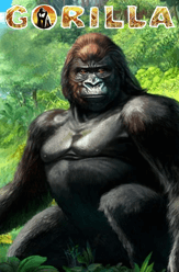 Gorilla 