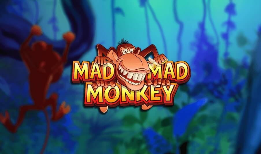 Mad Mad Monkey