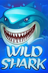 Wild Shark